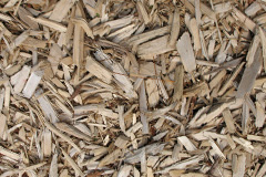biomass boilers Bodfari